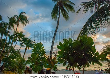 Beautiful Tropical Landscape With Palm Trees In The Evenin. Boracay, Philippines