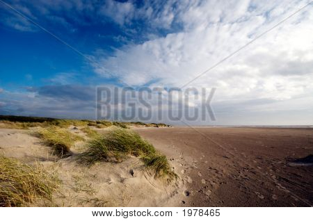 Dune di sabbia e l'oceano