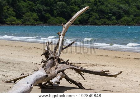 Nacascolo Beach, Costa Rica