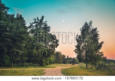 Summer morning landscape. Green trees with colored sky and moon in the background.