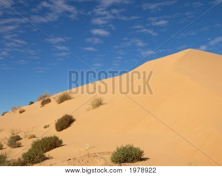 Dune di sabbia 176