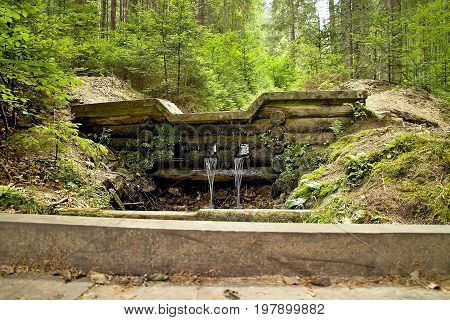 A small waterfall at the forestry open-air museum in Vydrovo. Forest, water, trees and mountain stream.