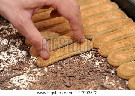 chef prepares delicious tiramisu biscuit with chocolate