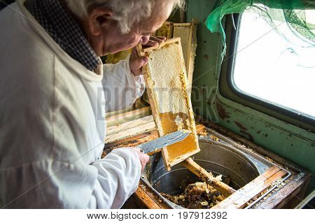 The beekeeper separates the wax from the honeycomb frame. A special knife for separating the wax from the frame with honey