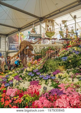 LONDON UK - MAY 25 2017: RHS Chelsea Flower Show 2017. Various flowers on the gold medal winner display in the Great Pavilion.
