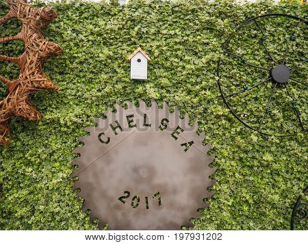 LONDON UK - MAY 25 2017: RHS Chelsea Flower Show 2017
