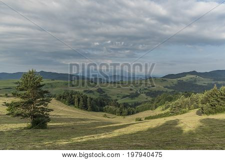 Meadows over Lesnica village in summer cloudy morning