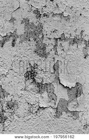 Black And White Cracked Floor Texture