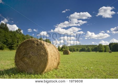 Paysage d'été