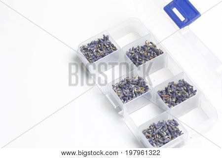 Dried Flowers Of Lavender. The Cells Of The Container Are Filled With Dried Lavender Inflorescences
