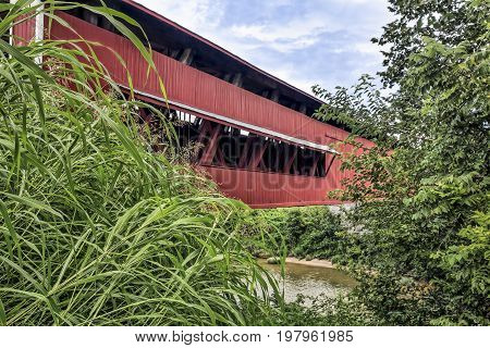 The historic Scipio Covered Bridge is viewed through thick green foliage in summer.