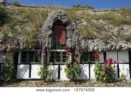 LAESOE DENMARK - JULY 26 2017: Seaweed roof farm museum called Heather Farm Laesoe 2017
