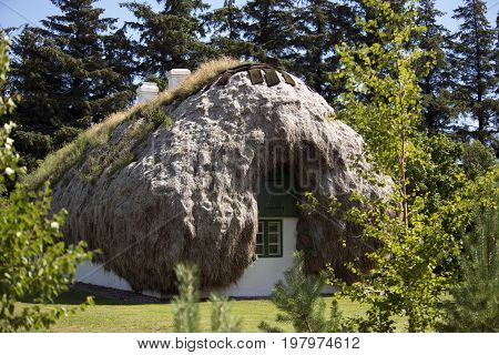 LAESOE DENMARK - JULY 28 2017: Seaweed roof house with new roof in the old style Laesoe 2017