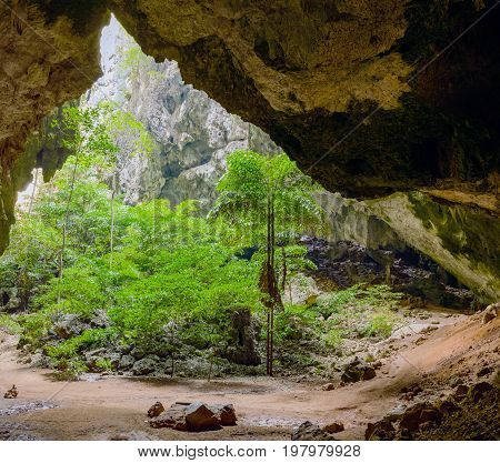 Vegetation And Nature In Phraya Nakhon Cave. Thailand