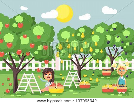 Stock vector illustration cartoon characters children two little girls harvest ripe fruits autumn orchard garden from plum, pear, apple tree, put crop in full basket landscape scene outdoor flat style