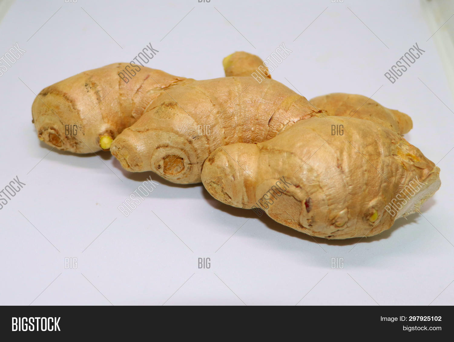 Ginger Zingiber Image & Photo (Free Trial) Bigstock