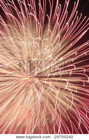 Fireworks In The Night