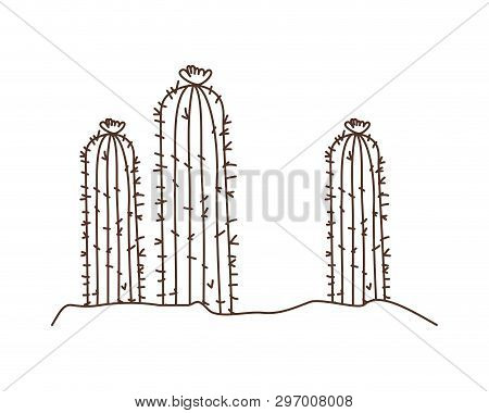 Cactus In Landscape Isolated Icon Vector Illustration Design