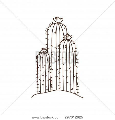 Cactus In Landscape Isolated Icon Vector Illustration Design