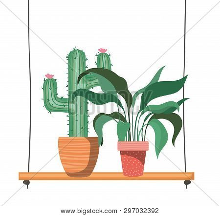 Houseplants With Potted On Shelf Isolated Icon Vector Illustration Design
