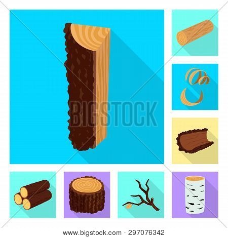 Vector Illustration Of Material And Nature  Symbol. Set Of Material And Raw  Stock Symbol For Web.