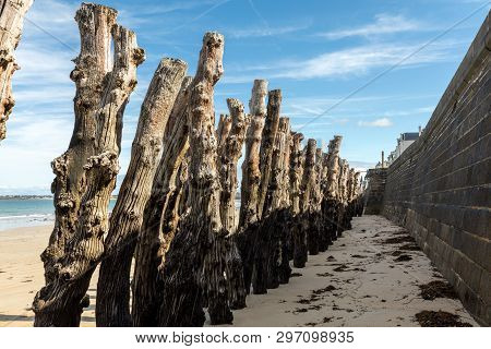 Big Breakwater, 3000 Trunks To Defend The City From The Tides, Plage De L Eventail Beach In Saint-ma