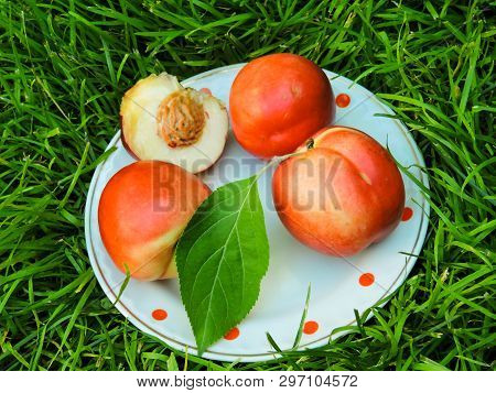 Ripe Yellow-red Orange Peaches. Fresh Harvest. The Best Healthy Snack.colorful Fruits In White Bowl 