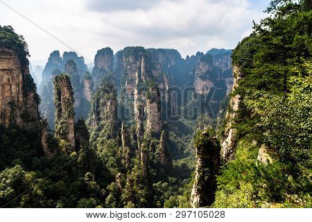 The Panorama Of The So Called Black Forest In Yuanjiajie Area In The Wulingyuan National Park, Zhang