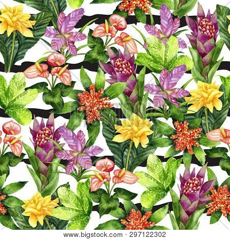 Hand Drawn Seamless Pattern With Tropical Plants Tillandsia Cyanea, Anthurium, Aechmea, Calathea Saf