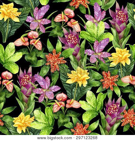 Hand Drawn Seamless Pattern With Tropical Plants Tillandsia Cyanea, Anthurium, Aechmea, Calathea Saf