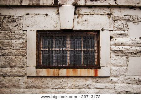 Caged Window