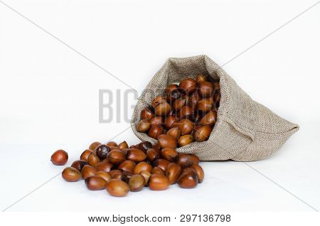 Hazelnuts, Filbert In Burlap Sack On White Background.. Heap Or Stack Of Hazelnuts. Hazelnut Backgro