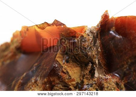 Wooden Opalite Mineral Texture