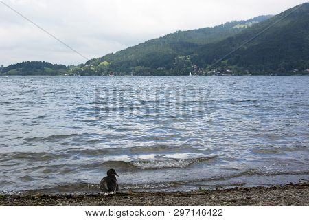 A View Of Lake Tegernsee In Germany On A Cloudy Summer Day