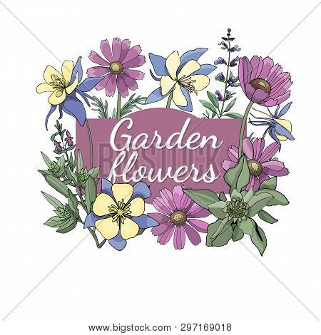Floral Set. Summer And Spring Isolated Garden Flowers.