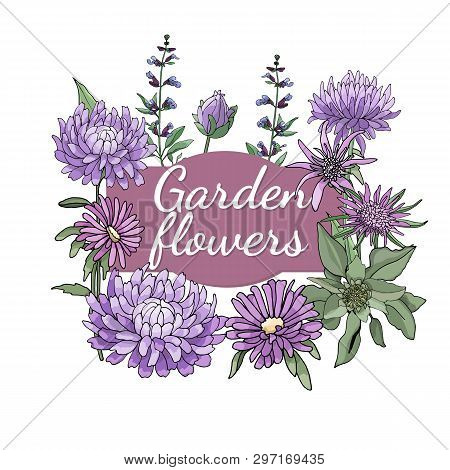 Floral Set. Summer And Spring Isolated Garden Flowers.