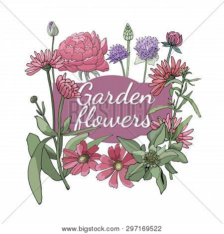 Floral Set. Summer And Spring Isolated Garden Flowers.