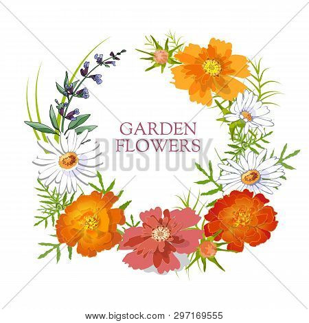 Floral Set. Summer And Spring Isolated Garden Flowers.