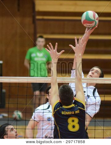 KAPOSVAR, Ungheria - 28 gennaio: Roland Vajda (R) in azione a un ungherese pallavolo nazionale Champi