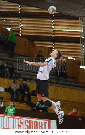 KAPOSVAR, Ungheria - 28 gennaio: Roland Gergye in azione presso un campione nazionale di pallavolo ungherese
