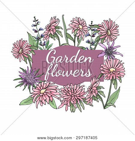 Floral Set. Summer And Spring Isolated Garden Flowers.