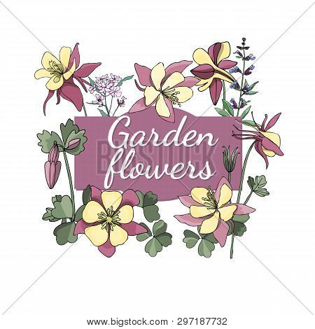 Floral Set. Summer And Spring Isolated Garden Flowers.