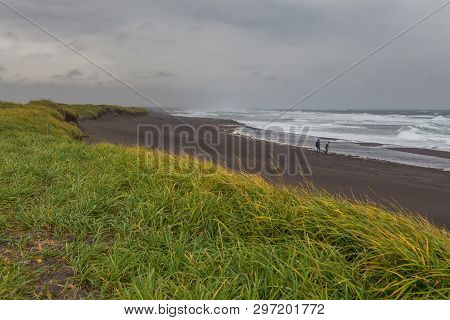 View Of The Waved Waves Of The Avachinskaya Bay , Avacha Bay And Volcanic Beaches. High Grass Growin