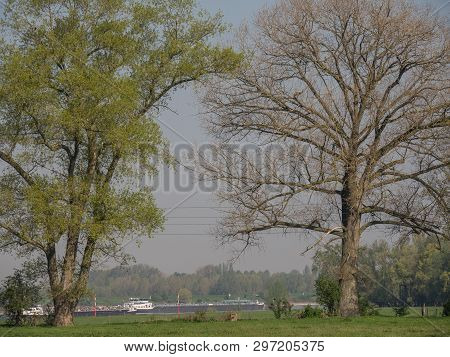 the river rhine near rees in germany