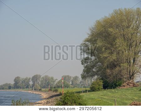the river rhine near rees in germany