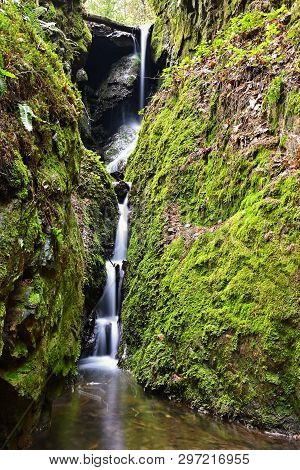 Beautiful Nature Background With Stream And Forest. Springtime In Nature.