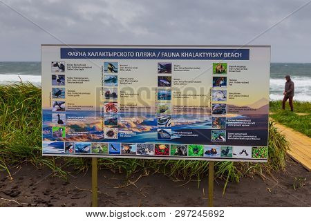Jelizevo, Russia- 26 September 2014: Information Board About The Fauna Found On The Khalatyrsky Beac