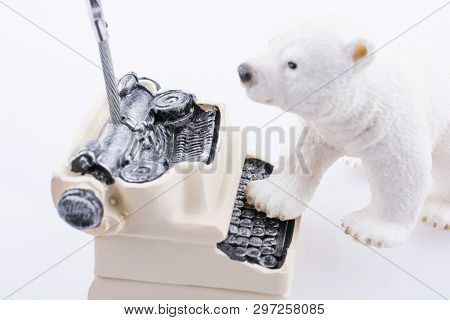 Polar Bear Cub On The Roof Of A Model House Mado Of Roof
