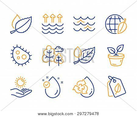 Leaves, Vitamin E And Mint Leaves Icons Simple Set. Environment Day, Tree And Leaf Dew Signs. Bacter