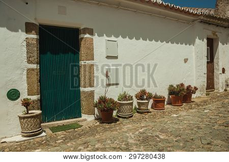 Humble White Wall Houses With Flowers Pots In A Sunny Day, On The Cobblestone Main Street Of Evoramo